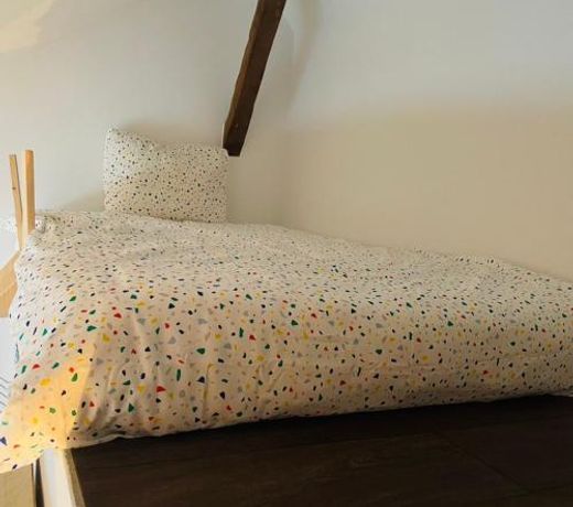 Down Town Spacious Loft with Private Parking