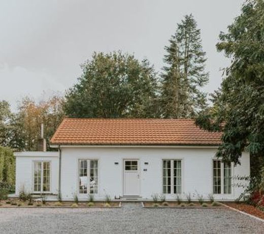 Kipdorp39