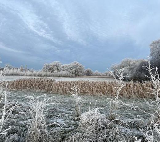 Sfeervol landhuis met wellness in de groene Kempen