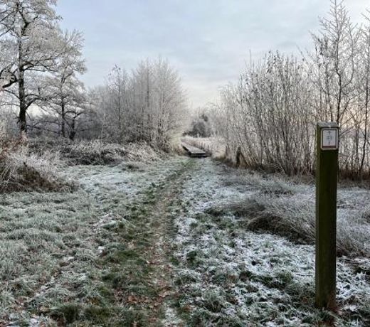 Sfeervol landhuis met wellness in de groene Kempen