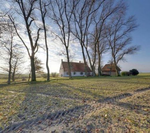Cottage 33 Westhoek