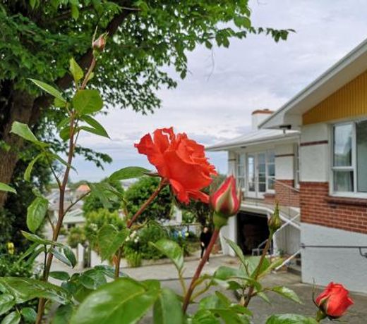 Hello Seaview! 4 BRs House in Central Location!
