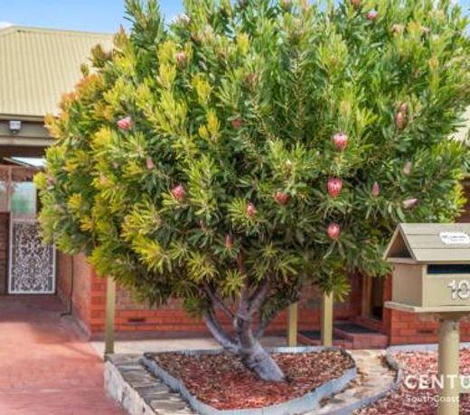 Reef & Vines Port Noarlunga