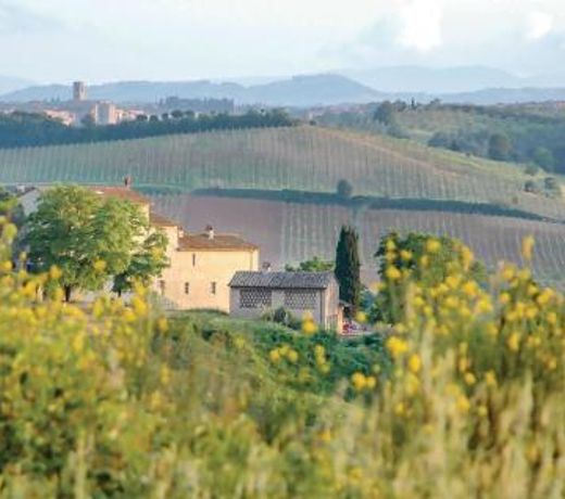 Sanlucchese 1