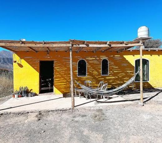 Huerta Las SeÃ±oritas