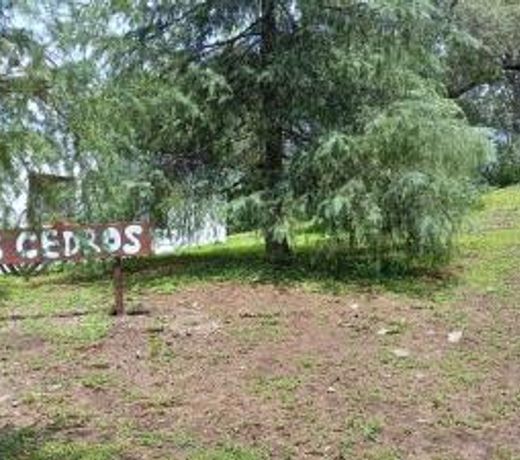 Los Cedros