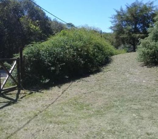 Los Cedros