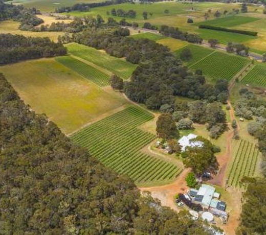 Island Brook Estate Vineyard and Chalets