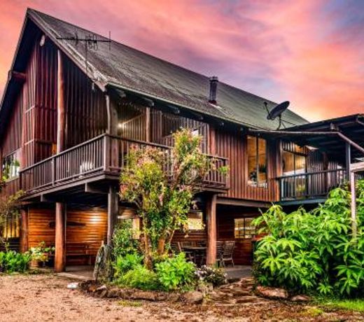 Treetops Sanctuary - Luxury Treehouse pole home