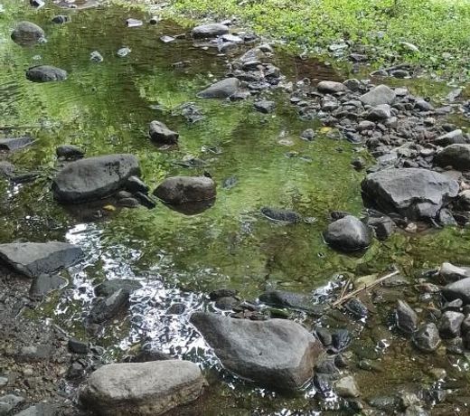Lacasitadepiedra_Cabana