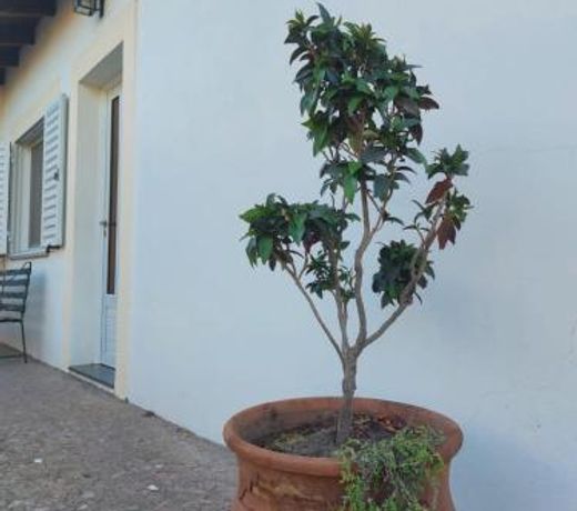 La Porota