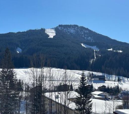 Dachstein Chalet