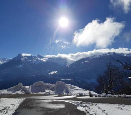Wohnung Rheintal im Alpenvorland