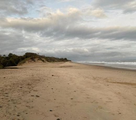 Beachfront entire house: freshly renovated