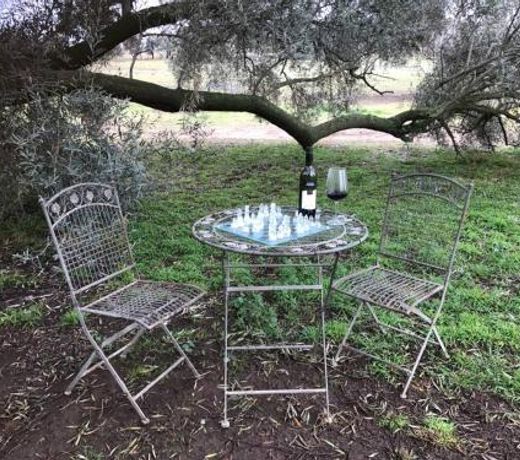 The Shearing Shed - Boutique Farm Stay
