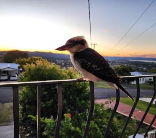 Bateau Family Retreat - Magical sunset views