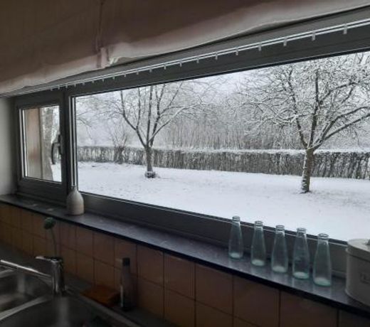 Vakantiewoning De Luysmolen