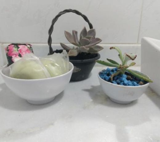 Casa Bromélia, a 15 minutos a pé do centro histórico!