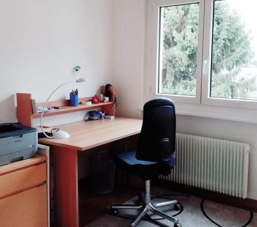 Alpine Apartment