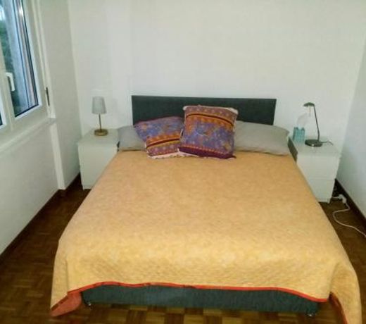 Alpine Apartment