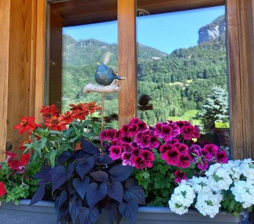 Appartement Aareschlucht- Grandiose Aussicht fur 2-6 pers.