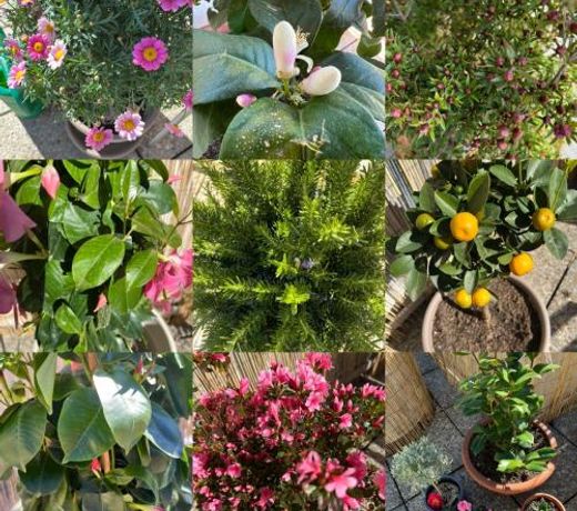 Appartamento con terrazza a due minuti dal lago
