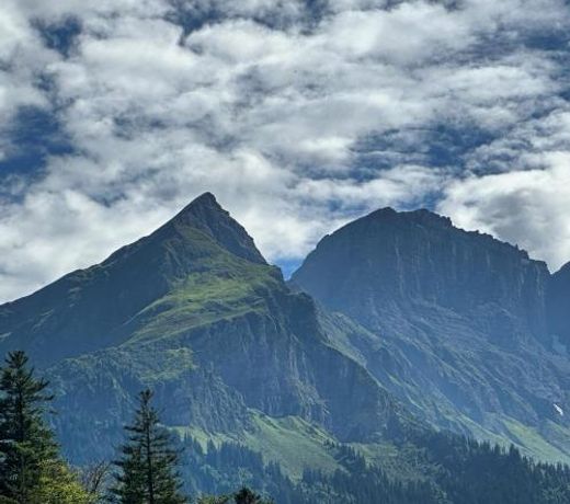 Chalet Brunig