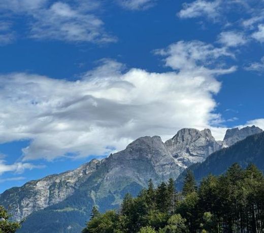 Chalet Brunig