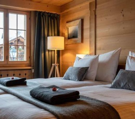 Charming Alpine Apartment Gstaad