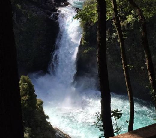 HuiloHuilo San Avellano en Reserva Biologica