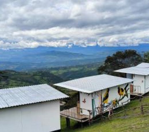 Altos de alejandria