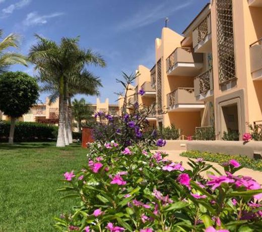Tropical Morabeza Apartment Santa Maria