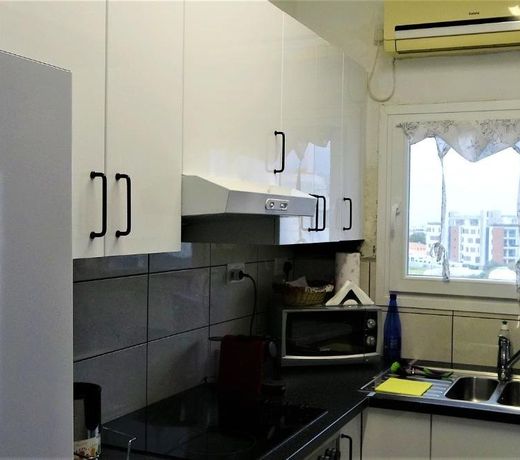 Antonakis 501