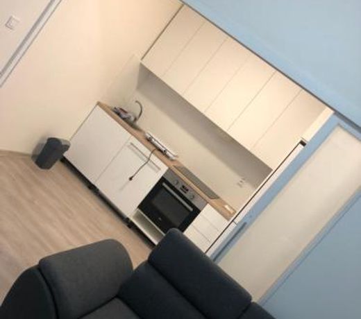 Vintage Apartment Ostrava center city