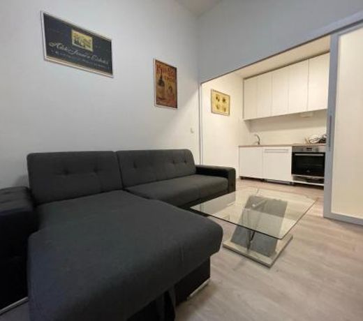Vintage Apartment Ostrava center city