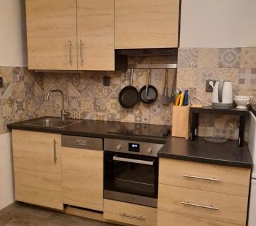 Apartment Riegerovka