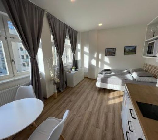 Historic Center Brno Apartment