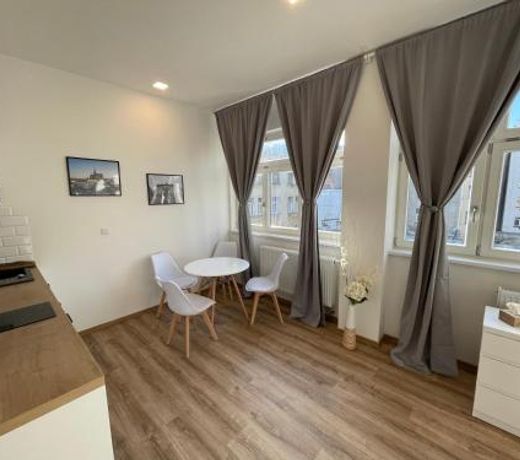 Historic Center Brno Apartment