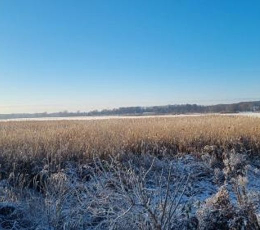Fewo Usedom Peene Idyll