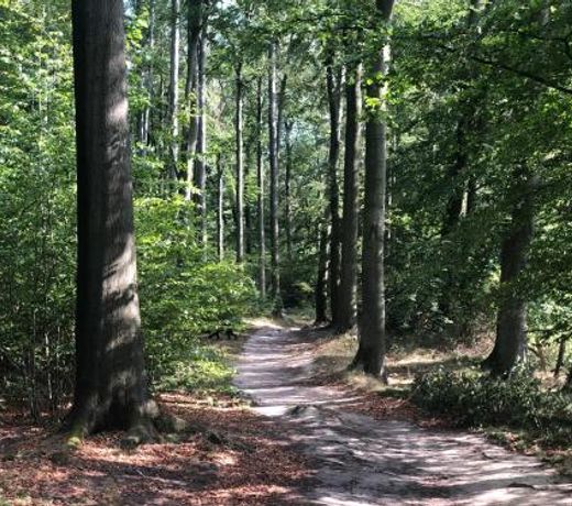 Exklusive Villa am Wald mit Garten, Waldzugang und Sauna