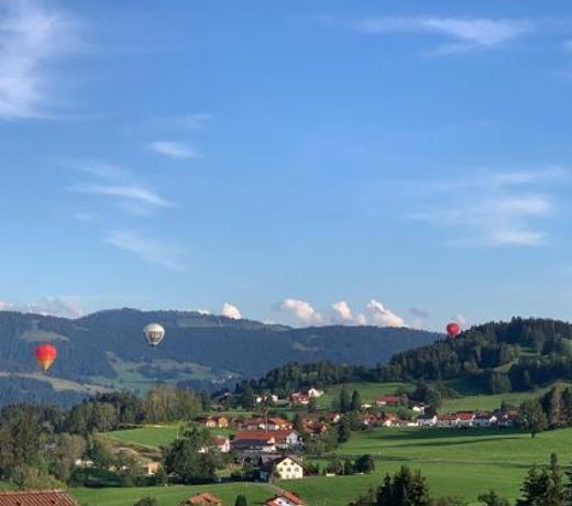PanoramaApart - Alpzeit im WestallgÃ¤u
