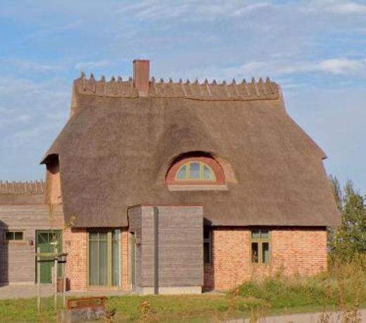 Reetdorf Geltinger Birk Kunstlerkate Moorochse