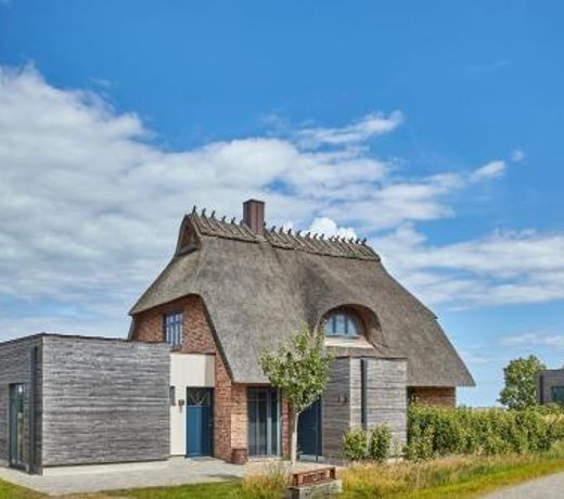 Reetdorf Geltinger Birk AtelierhausMoorflechte