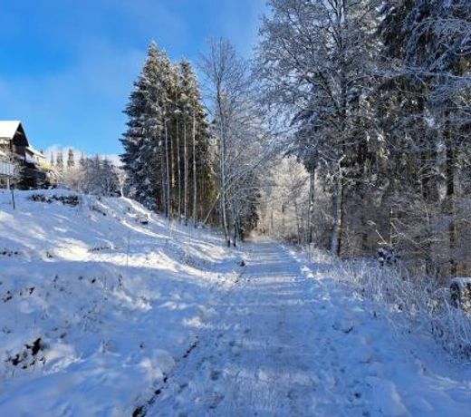 Great apartment Winterberg WOODS