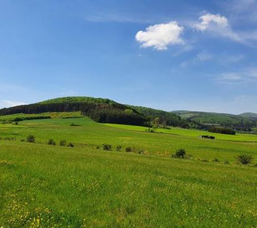 Fewo TaLuLa - Sauerland mit Hund