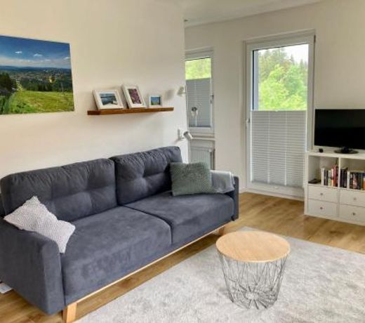 Hahnenklee Charme - moderne neue Ferienwohnung mit 2 Balkons