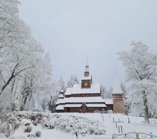 Harz mit Herz, Infrarotsauna, E-Kamin, Herzdusche