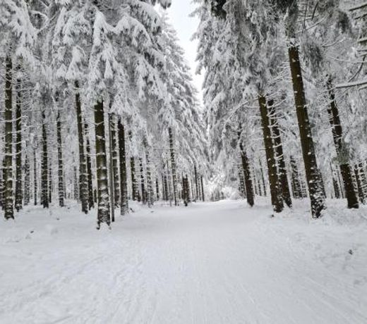 Harz mit Herz, Infrarotsauna, E-Kamin, Herzdusche