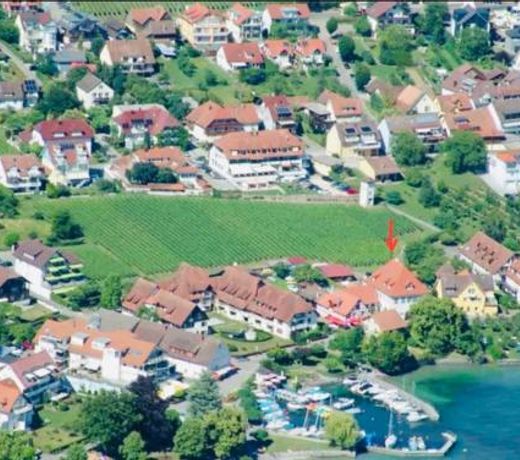 Hagnau, Irseer Hof