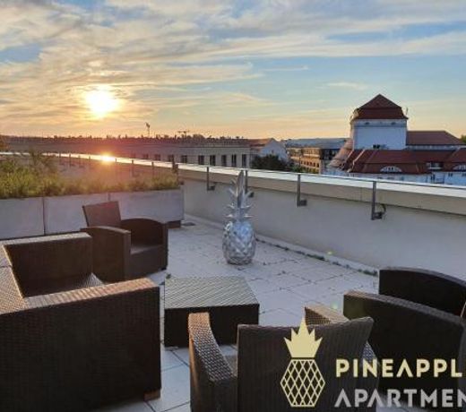 Pineapple Apartments Penthouse am Zwinger - 162m2 - 1x free parking